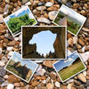 Michael's Nature Photo's And Meditation Spots - Holiday Photo Book