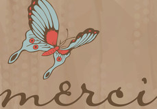 Thank You Cards - Merci Butterflies
