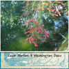 Lake Morton  - Nature Photo Book