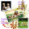Puppies in action!!! - Nature Photo Book