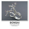 Bonsai - Interests Photo Book
