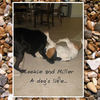 Cookie and Miller - Nature Photo Book