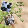 Kings Canyon - Travel Photo Book
