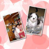Experimenting With Mixbook - Photo Book