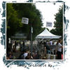 Lindy is Livin it Up - Events Photo Book