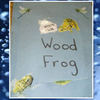 The Wood Frog - Nature Photo Book