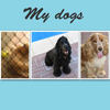 My Dogs - Pets Photo Book