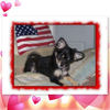 COCOA PUFF - Pets Photo Book