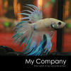 BETTA NATURE AT KG BARU KUALA LUMPUR - Pets Photo Book