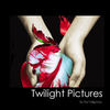 Twilight - Photo Book