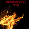 Romeo and Juliet Study Notes - Education Photo Book