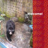 Zoo - Pets Photo Book
