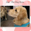 My Dog Hero, Zoe - Pets Photo Book