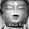 The Life of Buddha - Events Photo Book