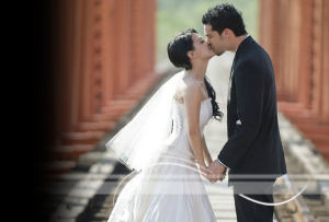Simple Wedding Theme