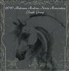 AAHA Youth 2010 - Yearbooks Photo Book