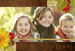 Autumn - Nature Photo Book
