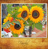 Udell Family and Friends - Family Photo Book