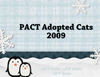 PACT Adoptions - Pets Photo Book