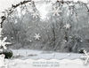 The Ice Storm 2009 4 - Events Photo Book