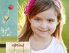 Spring - Nature Photo Book
