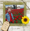 Rustic Charm - Photo Book