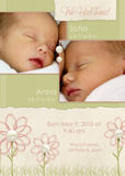 Twins Birth Announcements - Sketched Daisies