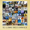 EL LLIBRE DELS ANIMALS - Education Photo Book