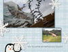 Winter - Holiday Photo Book