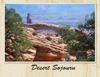 Desert Sojourn - Nature Photo Book