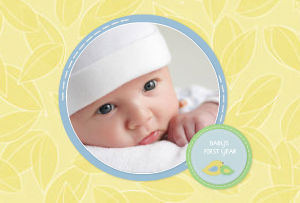 Baby's First Year
