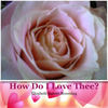 How Do I Love Thee? - Romance Photo Book