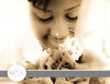 Natsha - Wedding Photo Book