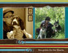 Winston Chai  Tommy - Pets Photo Book