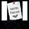 friends forever - Photo Book