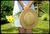 Deshina